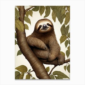 Cute Sloth Illustration Canvas Print