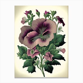 Petunia 3 Floral Botanical Vintage Poster Flower Canvas Print