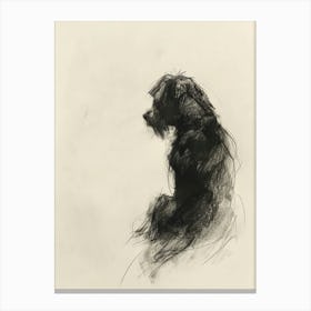 Lowchen Dog Charcoal Line 3 Canvas Print