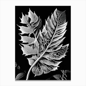 Sweet Birch Leaf Linocut 3 Canvas Print