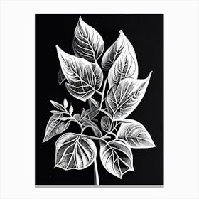 Marjoram Leaf Linocut 2 Canvas Print
