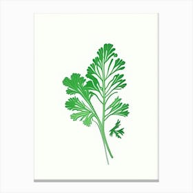 Cilantro (Coriander Leaf) Spices And Herbs Minimal Line Drawing 2 Canvas Print