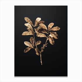 Gold Botanical Northern Bayberry on Wrought Iron Black n.2165 Canvas Print