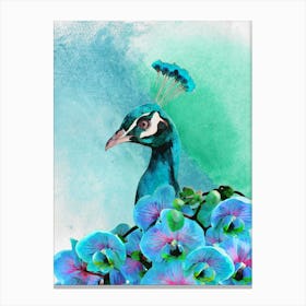 Peacock With Orchids Canvas Print