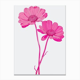 Hot Pink Oxeye Daisy 2 Canvas Print
