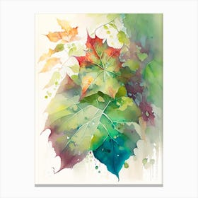 Pacific Poison Ivy Pop Art 10 Canvas Print