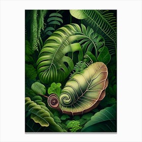Snail In The Rainforest Botanical Canvas Print
