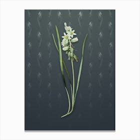 Vintage Drooping Star of Bethlehem Botanical on Slate Gray Pattern n.0758 Canvas Print