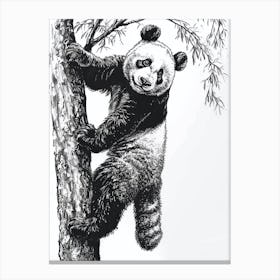 Giant Panda Cub Climbing A Tree Ink Illustration 3 Canvas Print