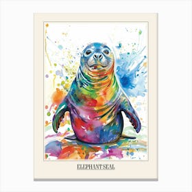 Elephant Seal Colourful Watercolour 3 Poster Canvas Print