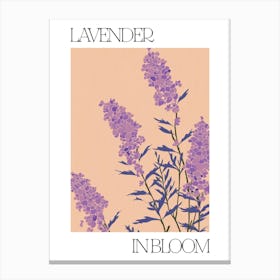 Lavender In Bloom Flowers Bold Illustration 3 Canvas Print