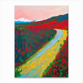 Denali National Park And Preserve United States Of America Abstract Colourful Canvas Print