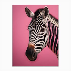 Pink Zebra Prin 0 Canvas Print