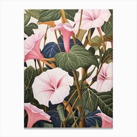 Flower Illustration Morning Glory 5 Canvas Print