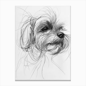 Maltese Dog Charcoal Line 2 Canvas Print