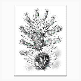 Star Cactus William Morris Inspired 2 Canvas Print