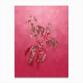 Vintage Judas Tree Botanical in Gold on Viva Magenta n.0100 Canvas Print