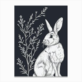 Blanc De Hotot Rabbit Minimalist Illustration 4 Canvas Print