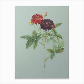 Vintage Van Eeden Rose Botanical Art on Mint Green n.0875 Canvas Print