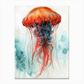 Medusa animal illustration art Canvas Print