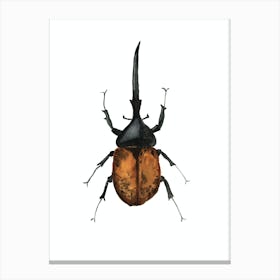 Dynastes Hercules Beetle Canvas Print