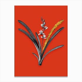 Vintage Boat Orchid Black and White Gold Leaf Floral Art on Tomato Red Canvas Print