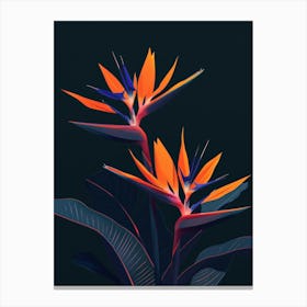 Bird Of Paradise 14 Canvas Print