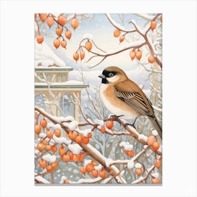 Winter Bird Painting House Sparrow 3 Canvas Print