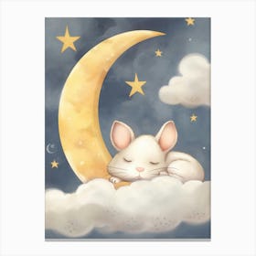 Sleeping Baby Mouse 2 Canvas Print