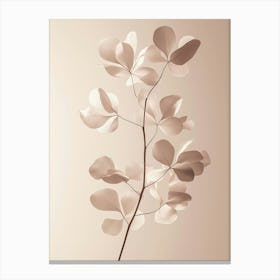 Eucalyptus Canvas Print