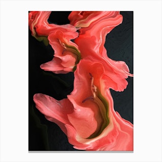 Black Coral Love Canvas Print