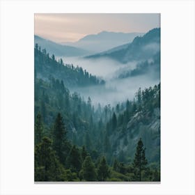 Yosemite National Park Canvas Print