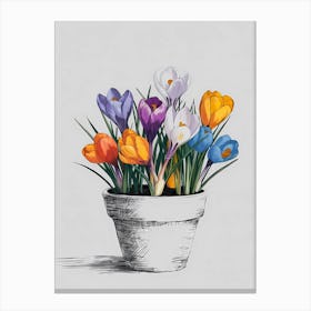 Crocuses In A Pot 1 Canvas Print