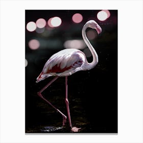 Dancing Flamingo  Canvas Print