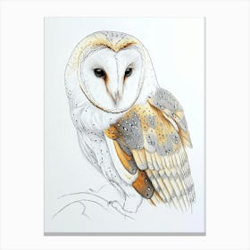 Barn Owl Drawing 3 Canvas Print