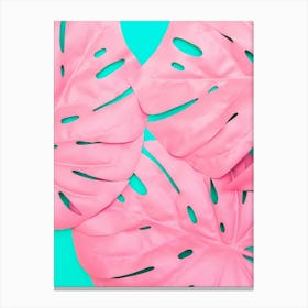 Pink Monstera Leaves On Turquoise Background Canvas Print