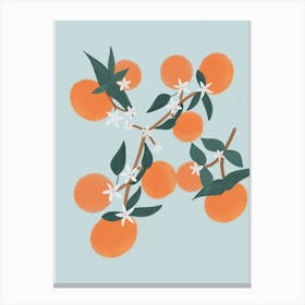 Orange Blue Canvas Print