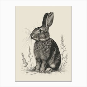 Beveren Blockprint Rabbit Illustration 5 Canvas Print