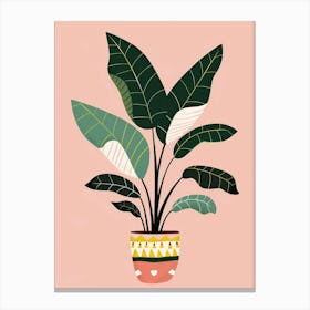 Banana Plant 9 Canvas Print