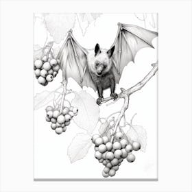 Botanical Illustration Fruit Bat 2 Canvas Print