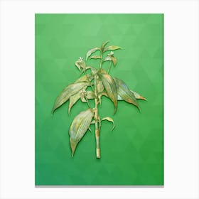 Vintage Commelina Zanonia Botanical Art on Classic Green n.0146 Canvas Print