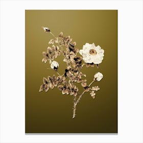 Gold Botanical White Burnet Roses on Dune Yellow n.3200 Canvas Print