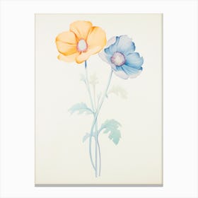 Two Flowers. Yellow and Blue Canvas Print