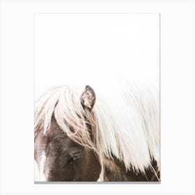 Little Pony Canvas Print