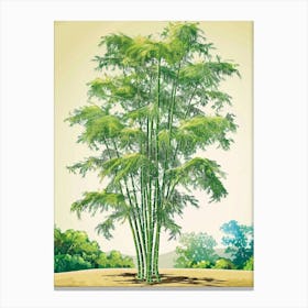 Bamboo Tree Storybook Illustration 1 Canvas Print