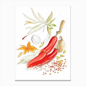 Cayenne Pepper Spices And Herbs Pencil Illustration 1 Canvas Print