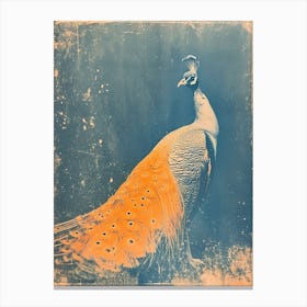 Vintage Navy Blue & Orange Peacock Portrait Canvas Print