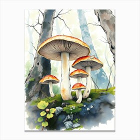 Mushrooms In The Forest Canvas Print