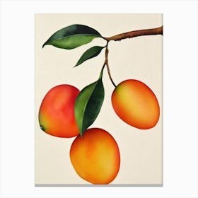 Mango 1 Watercolour Fruit Painting Fruit Canvas Print