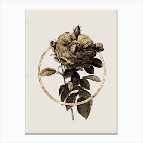 Gold Ring Giant French Rose Glitter Botanical Illustration n.0078 Canvas Print